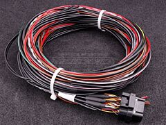 MaxxECU GEN2 RACE 4-liittimen Johtosarja-aihio