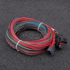 MaxxECU V1/RACE/PRO 1-Connector Flying Leads Harness