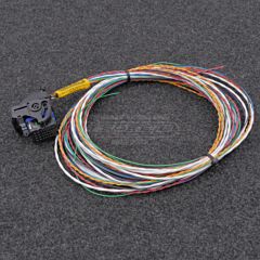 Raychem Spec55 Flying Leads Harness for MaxxECU RACE Connector 2