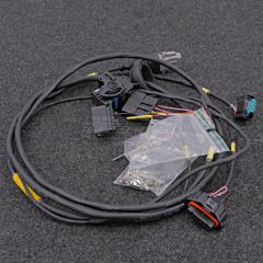 Additional DBW Wiring Loom for MaxxECU 2JZ Terminated Harness