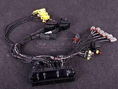 MaxxECU RACE Plugin harness BMW M54
