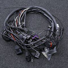 MaxxECU BMW M50B25 Johtosarja