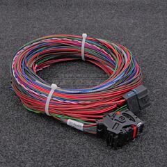 MaxxECU SPORT Johtosarja-aihio