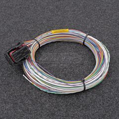 Raychem Spec55 Johtosarja-aihio MaxxECU V1/RACE/PRO 1-Liitin